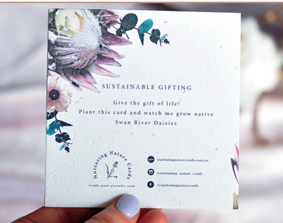Plantable Greeting Card - Protea
